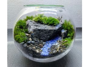 プランの魅力 以自然風光為主題的“苔蘚飼養箱”您可以創造自己的花園世界！ の画像