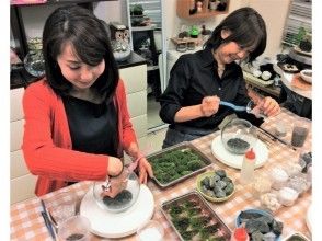 プランの魅力 以自然風光為主題的“苔蘚飼養箱”您可以創造自己的花園世界！ の画像