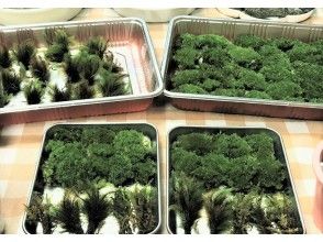 プランの魅力 All moss is domestically produced. There are many types. の画像