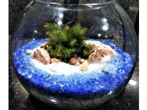 プランの魅力 "Moss terrarium" that you can imagine with your own ideas The only wonderful "green interior" in the world の画像