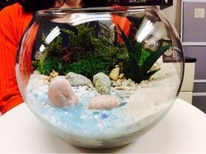 東京 新宿御苑前駅 広がる自然の世界 苔テラリウム グラスボール 創作体験 アクティビティジャパン