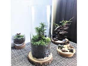 東京 新宿御苑前駅 広がる自然の世界 苔テラリウム グラスボール 創作体験 アクティビティジャパン