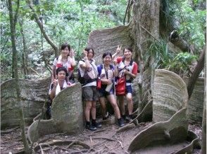 プランの魅力 大自然の神秘に触れる旅 の画像