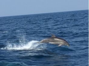 プランの魅力 時にはこんな珍客も の画像