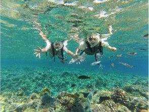 プランの魅力 Snorkel school の画像