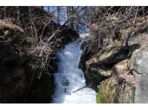 プランの魅力 Waterfall Tour の画像