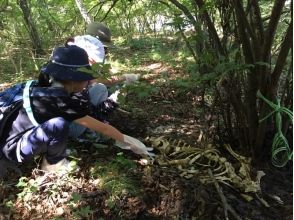 プランの魅力 ワクワクの3時間 の画像