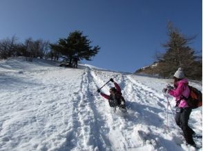 プランの魅力 玩雪 の画像