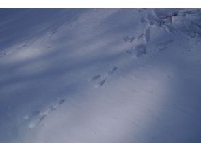 プランの魅力 가이드가 동산을 안내 の画像