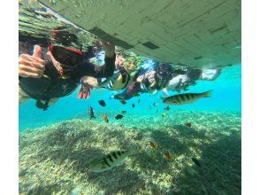 プランの魅力  の画像