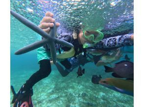 プランの魅力  の画像