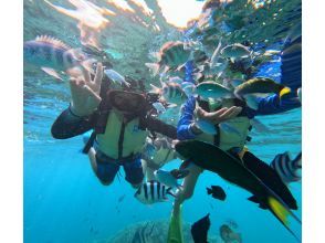 プランの魅力  の画像