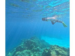 プランの魅力  の画像