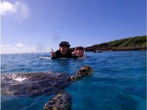 プランの魅力 Sea turtle snorkel at close range (^^ ♪ の画像