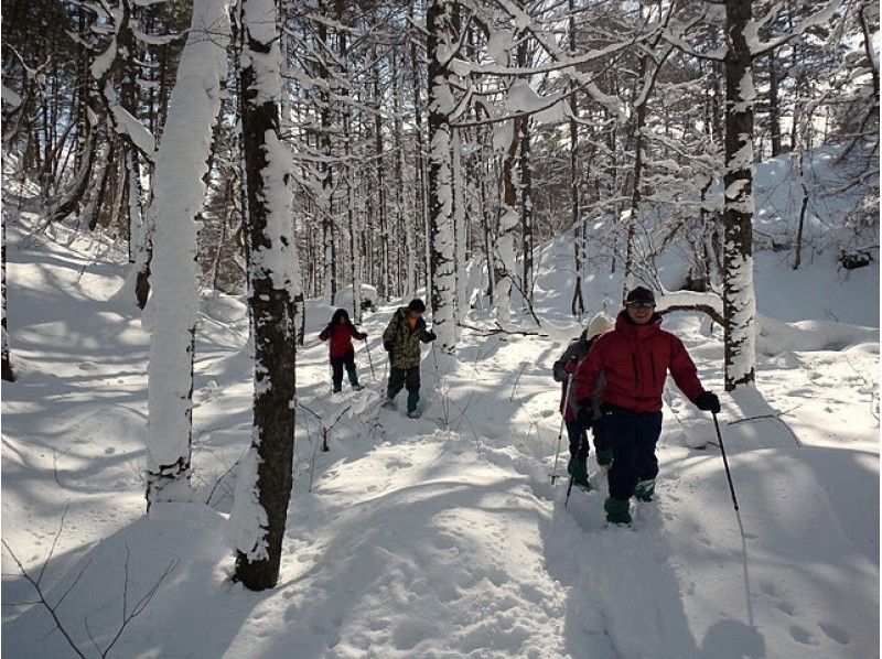 Fukushima Back Bandai Snowshoe Tour