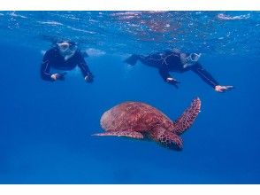 プランの魅力 Impressive to swim together! の画像