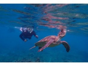 プランの魅力 海龟呼吸 の画像