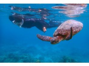 プランの魅力 永远的蓝色海洋！ の画像