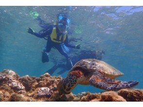 プランの魅力 Ah! !! !! Sea turtle! !! !! の画像