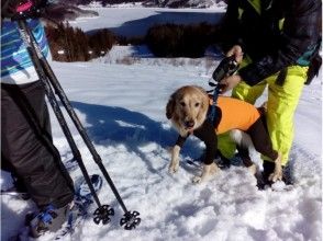 プランの魅力 愛犬と一緒に雪さんぽ♪ の画像