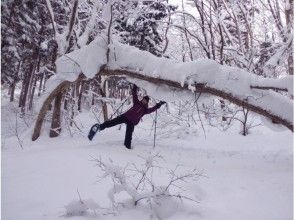 プランの魅力 雪のアーチ発見! の画像