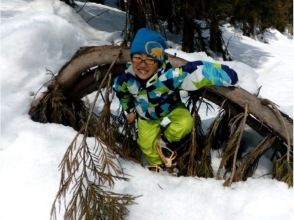 プランの魅力 找到了雪拱門！ の画像