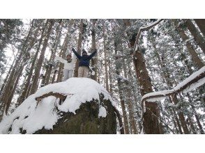 プランの魅力 雪の森に巨大な岩が！！ の画像