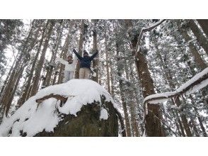 プランの魅力 雪の森に巨大な岩が!! の画像