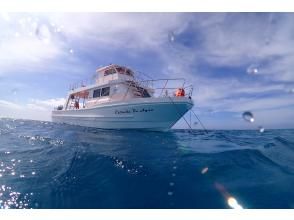 プランの魅力 large diving boat の画像