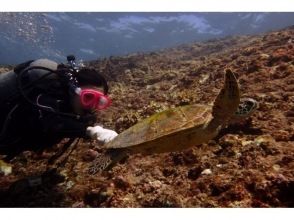 プランの魅力 水下寫真禮物 の画像