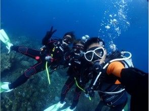 プランの魅力 学生時代に仲間と屋久島でダイビング！！ の画像