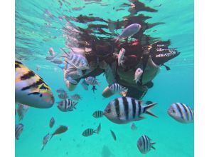 プランの魅力  の画像