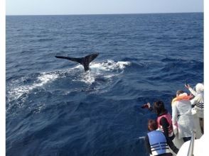 プランの魅力 ダウンダイブ の画像