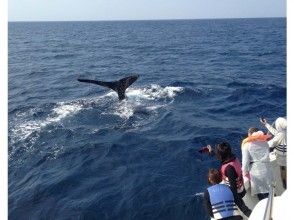 プランの魅力 ダウンダイブ の画像