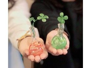プランの魅力 可愛く仕上がり♪ の画像
