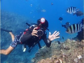 プランの魅力 Safe and secure with an exclusive instructor の画像