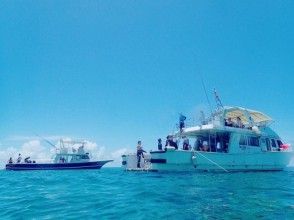 プランの魅力 ボートで移動しながら、ケラマ諸島の景色もたっぷり見てね の画像