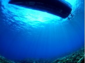 プランの魅力 underwater The ray that enters into is also mysterious の画像