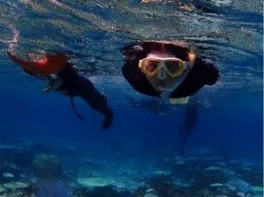 プランの魅力 您可以体验流行的浮潜和潜水，因此对于初学者来说非常棒！ の画像