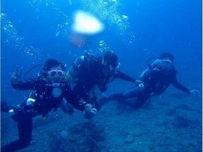 プランの魅力 Easy going to beach diving の画像