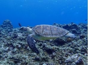 プランの魅力 全邂逅 の画像