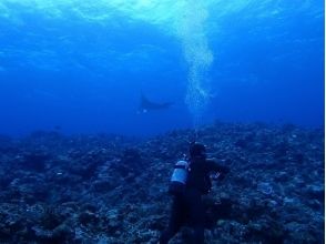 プランの魅力 特典あり！ の画像