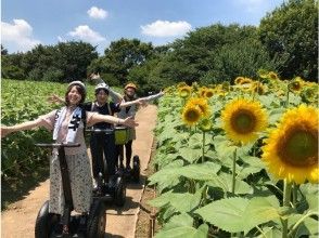 プランの魅力 A large sunflower field in summer ♪ の画像