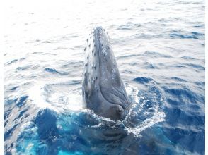 プランの魅力 Such a precious scene! の画像