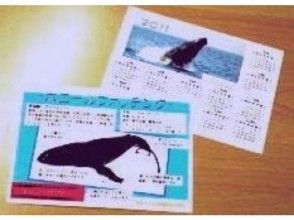プランの魅力 참가자님 특전 있음! の画像