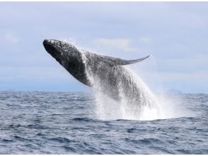 プランの魅力 Jamp の画像