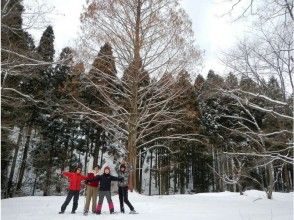 プランの魅力 体力が不安な方でもOK の画像