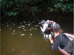 プランの魅力 カメラ派に大人気の花です の画像