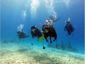 プランの魅力 初心者の方も安心！ の画像