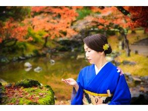 プランの魅力 가을 단풍 위치 촬영 패키지 の画像